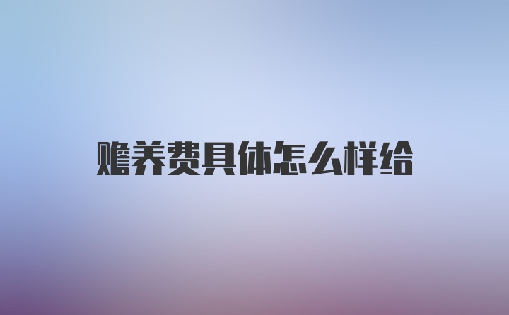 赡养费具体怎么样给
