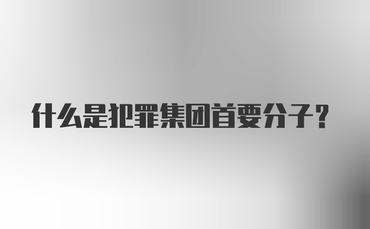 什么是犯罪集团首要分子？