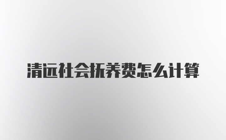 清远社会抚养费怎么计算