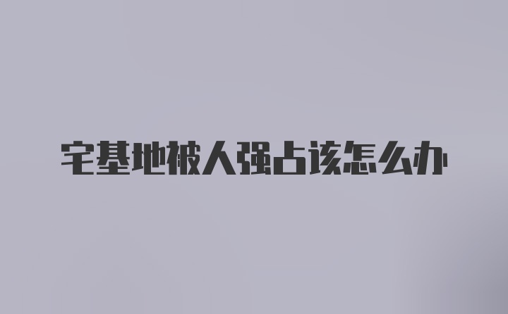 宅基地被人强占该怎么办