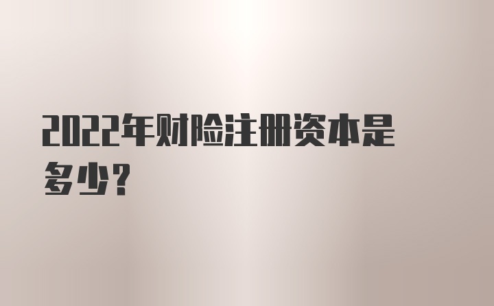 2022年财险注册资本是多少？