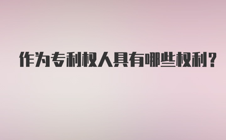 作为专利权人具有哪些权利?