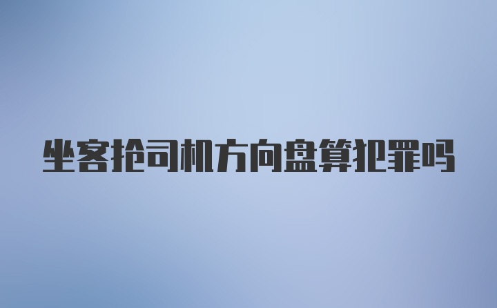 坐客抢司机方向盘算犯罪吗