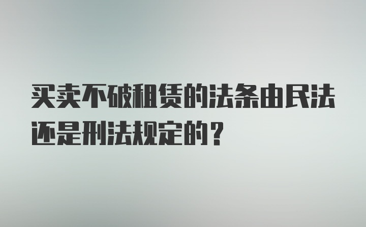 买卖不破租赁的法条由民法还是刑法规定的？