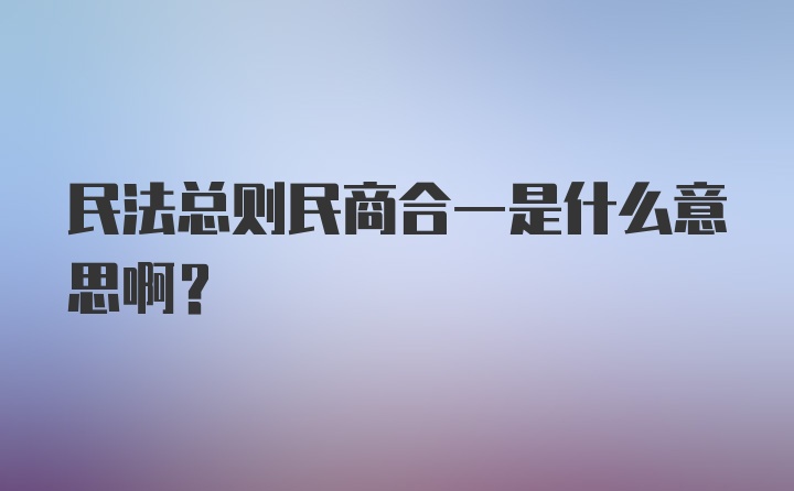 民法总则民商合一是什么意思啊？