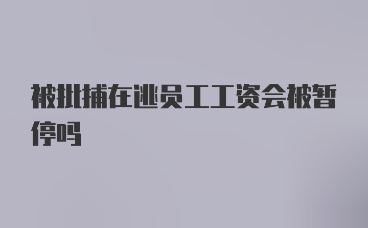 被批捕在逃员工工资会被暂停吗