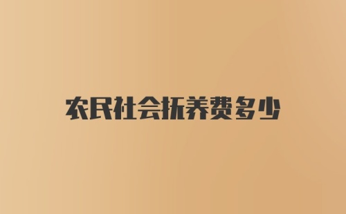 农民社会抚养费多少