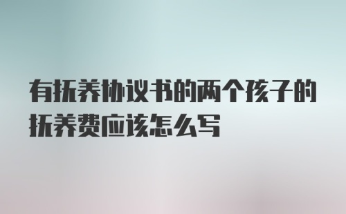 有抚养协议书的两个孩子的抚养费应该怎么写