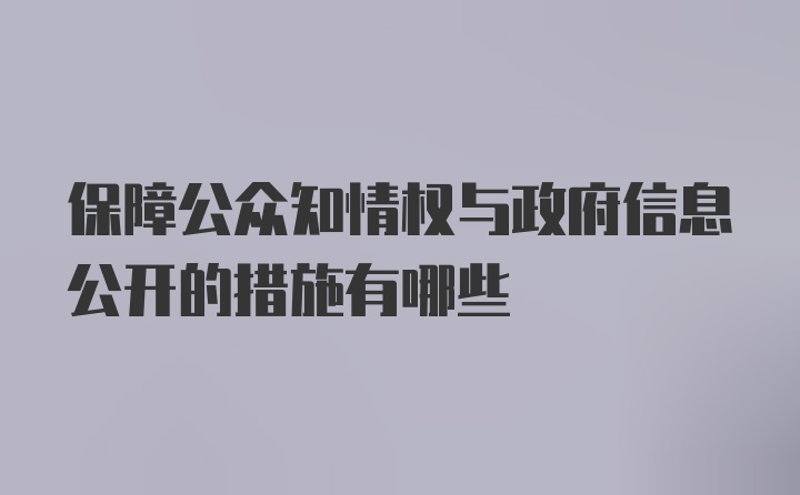 保障公众知情权与政府信息公开的措施有哪些