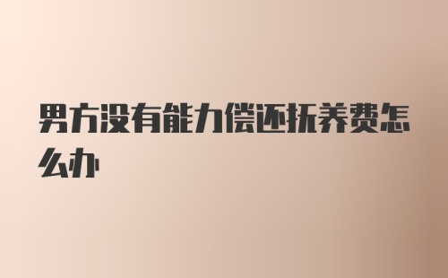 男方没有能力偿还抚养费怎么办