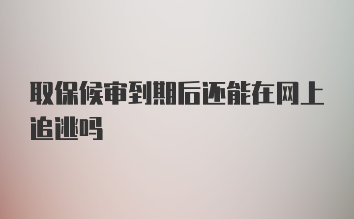 取保候审到期后还能在网上追逃吗