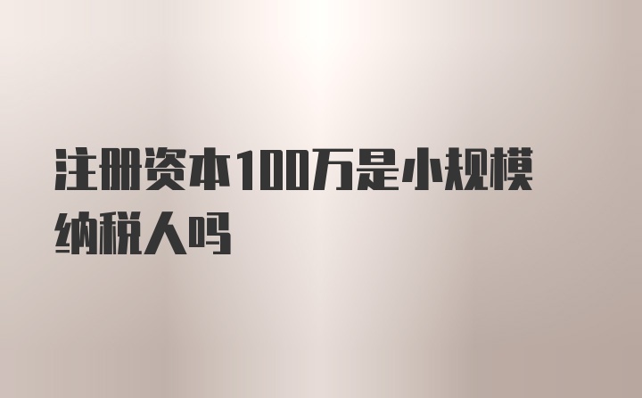 注册资本100万是小规模纳税人吗