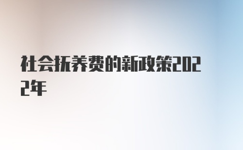 社会抚养费的新政策2022年