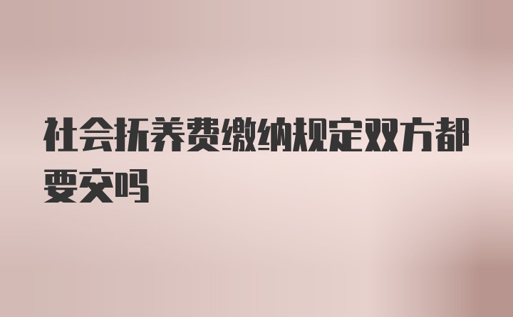 社会抚养费缴纳规定双方都要交吗