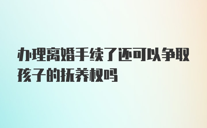 办理离婚手续了还可以争取孩子的抚养权吗