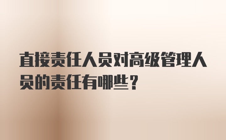 直接责任人员对高级管理人员的责任有哪些？