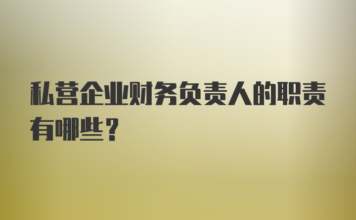 私营企业财务负责人的职责有哪些？