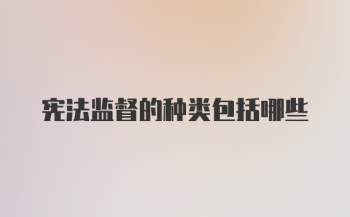 宪法监督的种类包括哪些