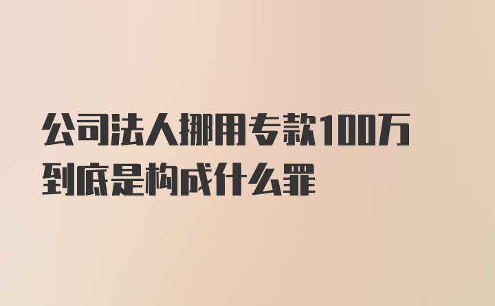 公司法人挪用专款100万到底是构成什么罪