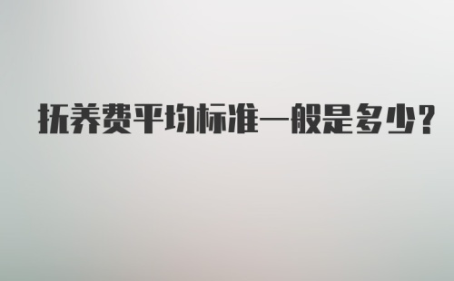 抚养费平均标准一般是多少？