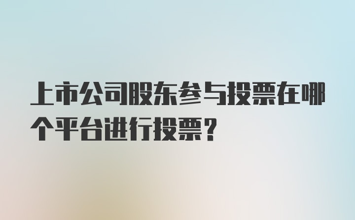 上市公司股东参与投票在哪个平台进行投票？