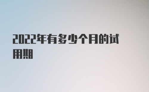 2022年有多少个月的试用期