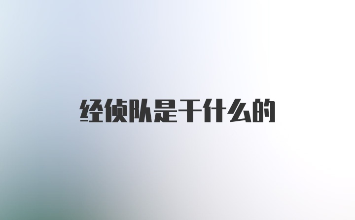 经侦队是干什么的