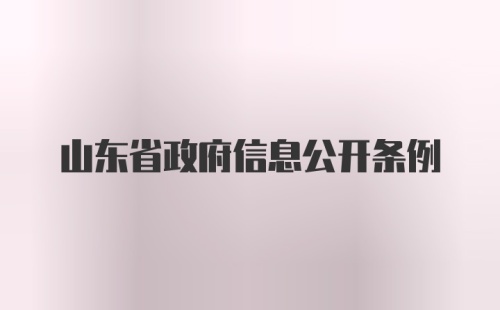 山东省政府信息公开条例