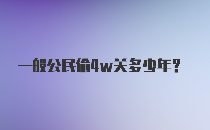 一般公民偷4w关多少年?