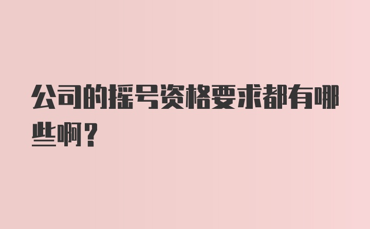 公司的摇号资格要求都有哪些啊？