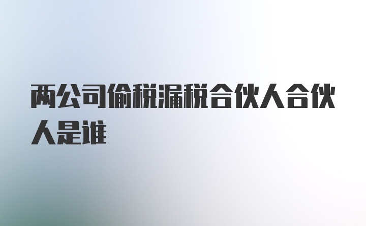 两公司偷税漏税合伙人合伙人是谁