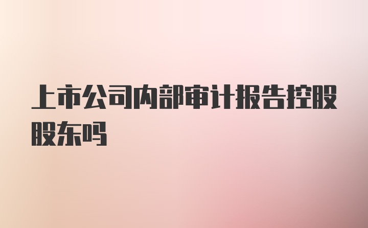 上市公司内部审计报告控股股东吗