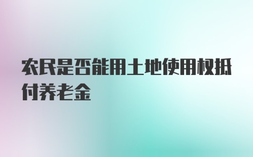 农民是否能用土地使用权抵付养老金