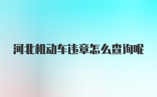 河北机动车违章怎么查询呢