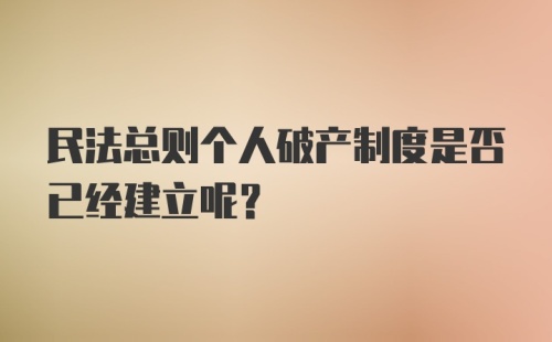 民法总则个人破产制度是否已经建立呢？