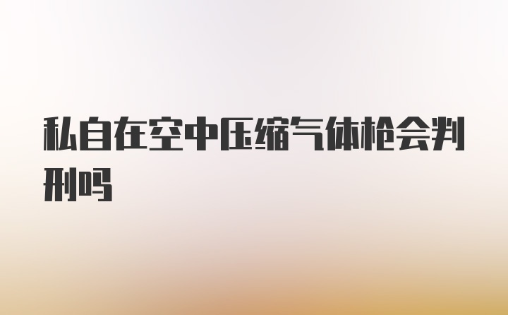 私自在空中压缩气体枪会判刑吗