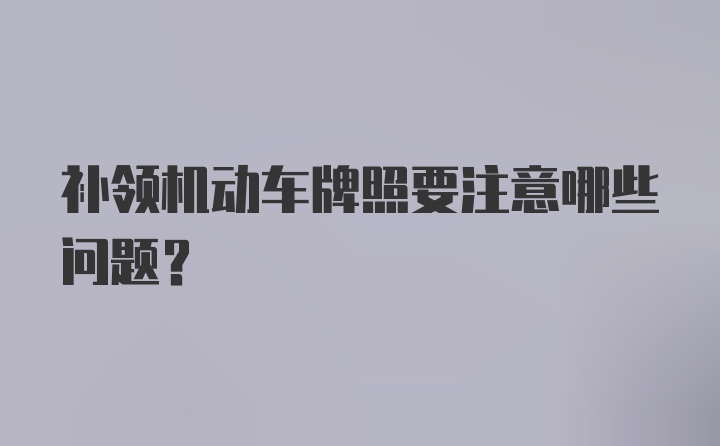 补领机动车牌照要注意哪些问题？