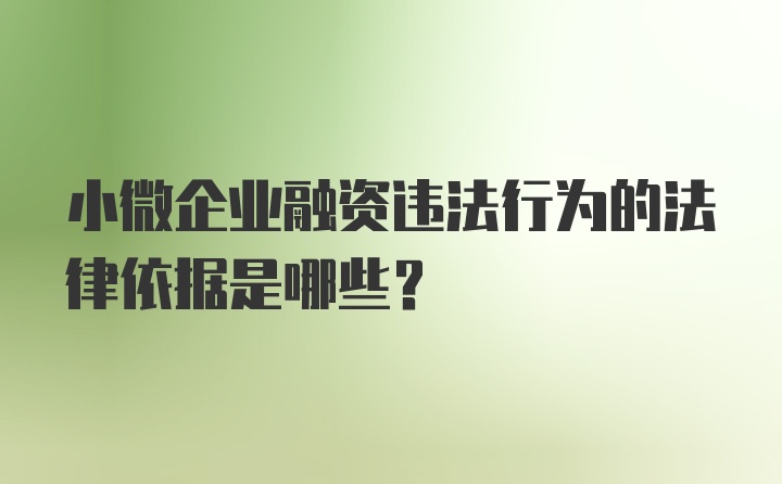 小微企业融资违法行为的法律依据是哪些？