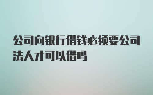 公司向银行借钱必须要公司法人才可以借吗