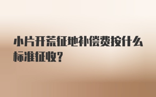 小片开荒征地补偿费按什么标准征收？