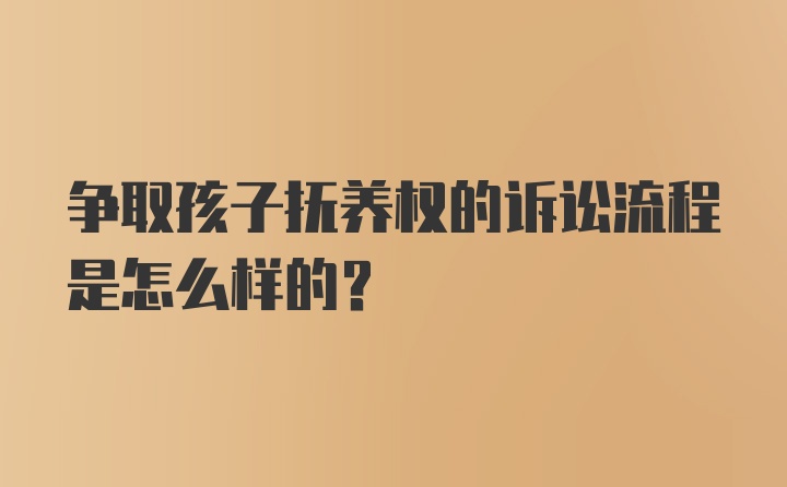 争取孩子抚养权的诉讼流程是怎么样的？