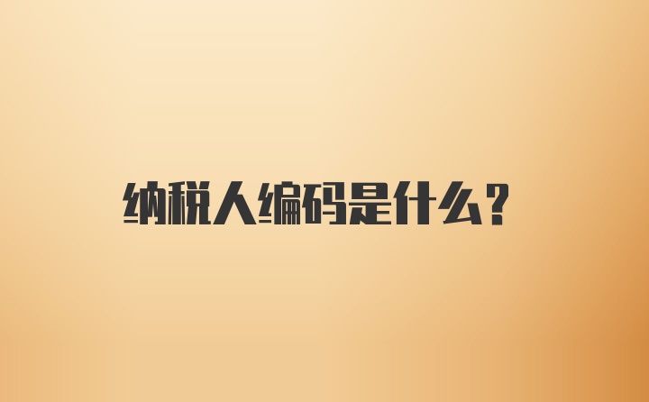 纳税人编码是什么？