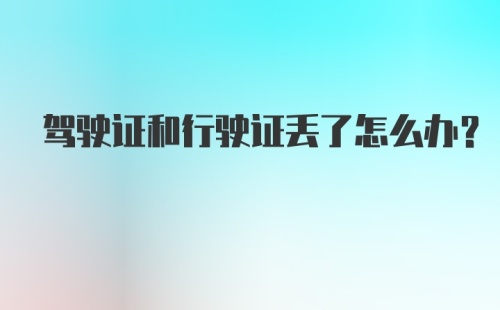 驾驶证和行驶证丢了怎么办？