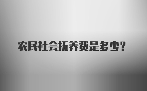 农民社会抚养费是多少?