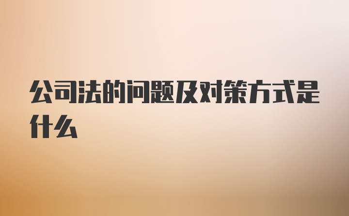 公司法的问题及对策方式是什么