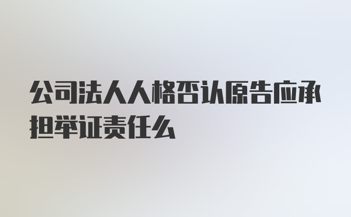 公司法人人格否认原告应承担举证责任么