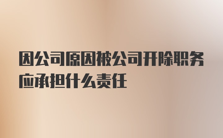 因公司原因被公司开除职务应承担什么责任