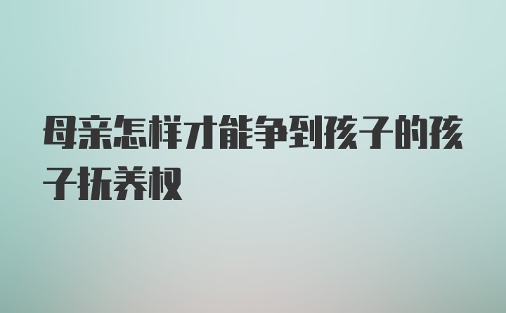 母亲怎样才能争到孩子的孩子抚养权