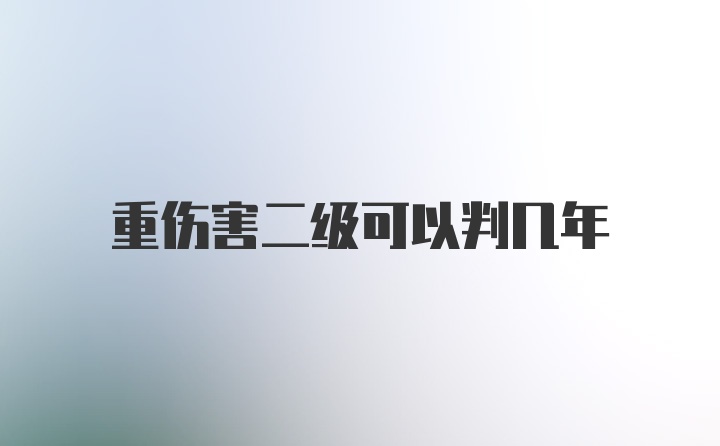 重伤害二级可以判几年