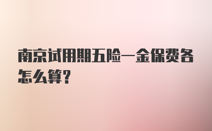 南京试用期五险一金保费各怎么算？